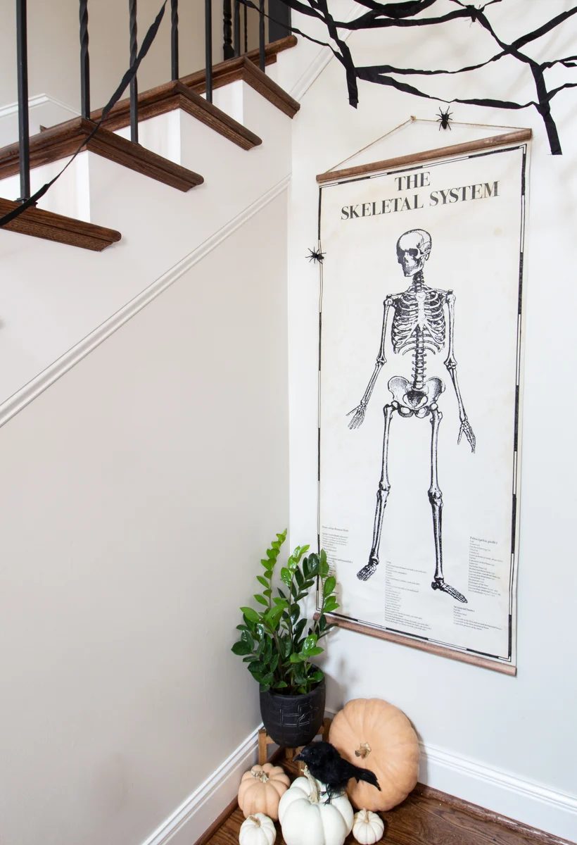 Deeply Southern Home Halloweenartkeletonchart 3205