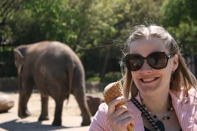 Elephant Butts and Ice Cream