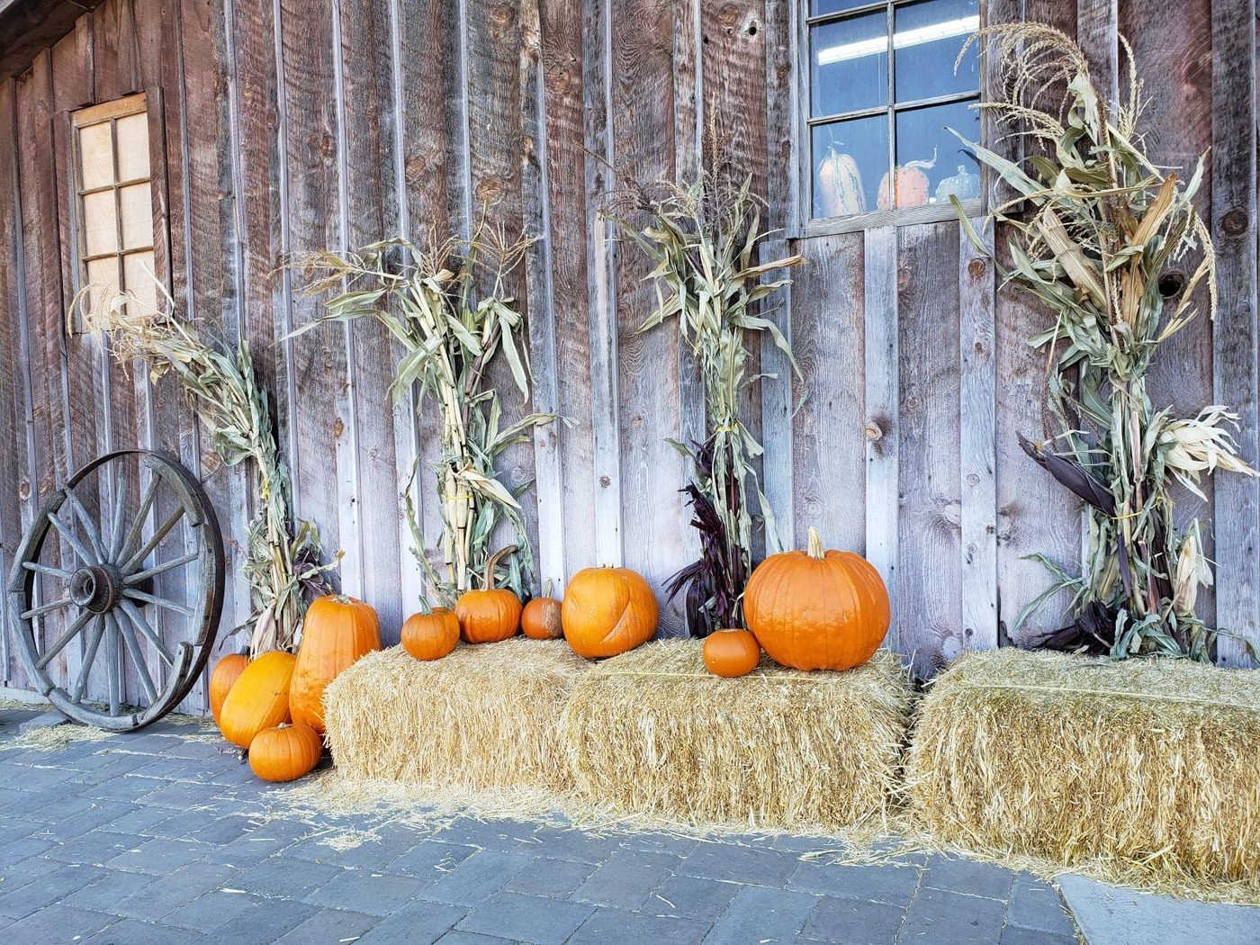 Corn Stalk Decor