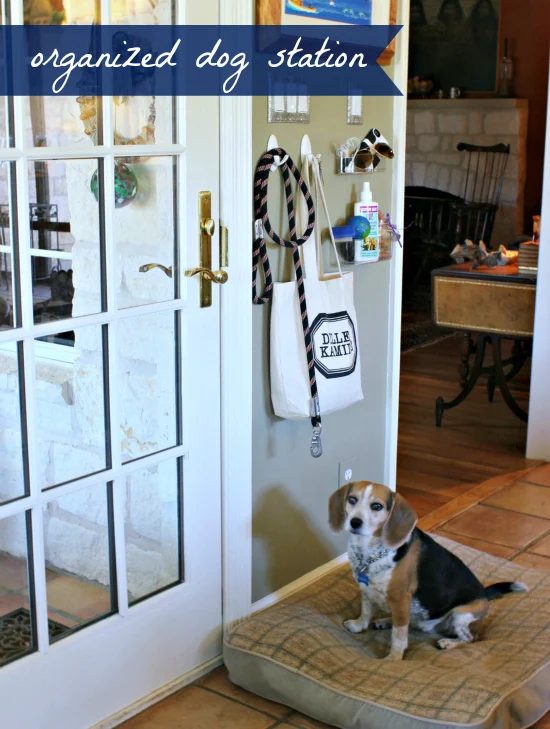 drop zone for the dog, Hi Sugar Plum
