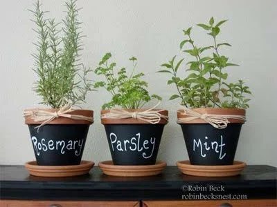 25 Fantastic Indoor Herb Garden options - Tipsaholic.com #herbs #garden