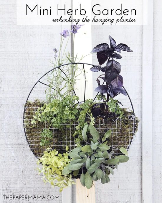 25 Fantastic Indoor Herb Garden options - Tipsaholic.com #herbs #garden