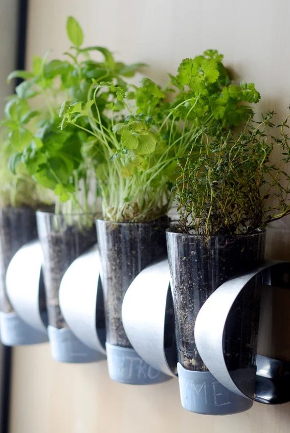 25 Fantastic Indoor Herb Garden options - Tipsaholic.com #herbs #garden