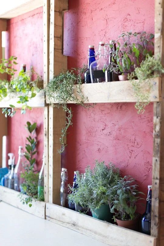 25 Fantastic Indoor Herb Garden options - Tipsaholic.com #herbs #garden