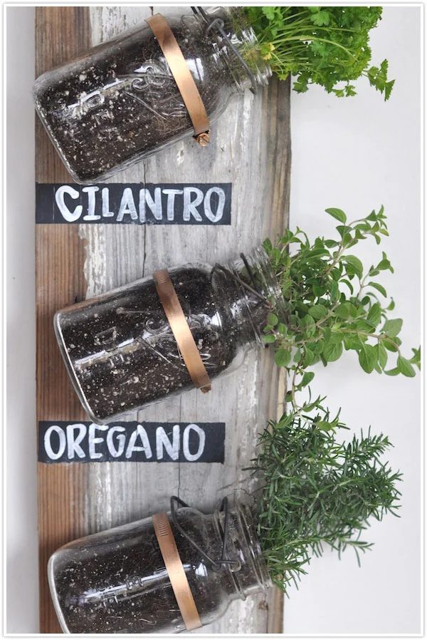 25 Fantastic Indoor Herb Garden options - Tipsaholic.com #herbs #garden