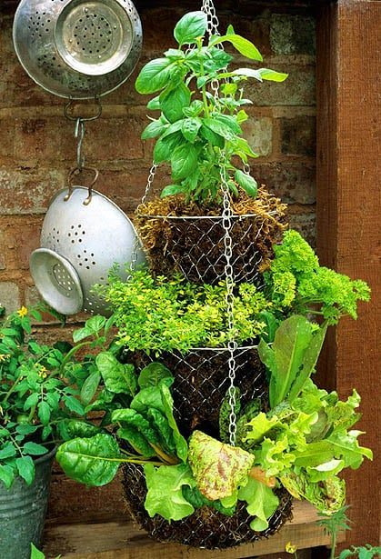 25 Fantastic Indoor Herb Garden options - Tipsaholic.com #herbs #garden