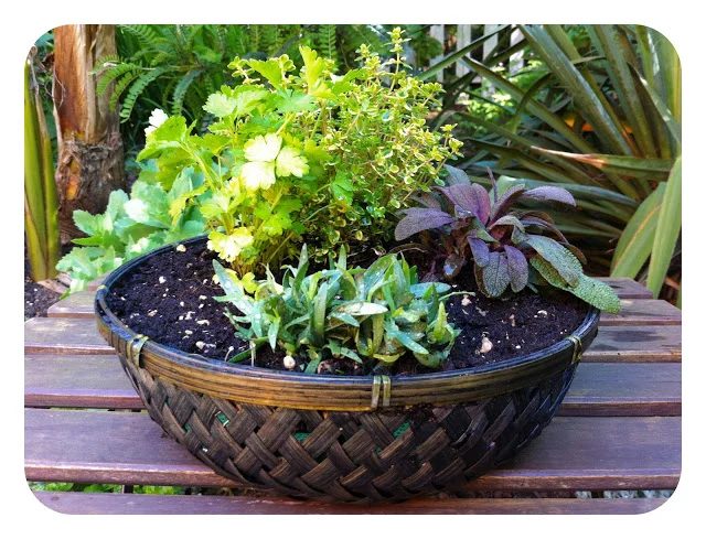 25 Fantastic Indoor Herb Garden options - Tipsaholic.com #herbs #garden
