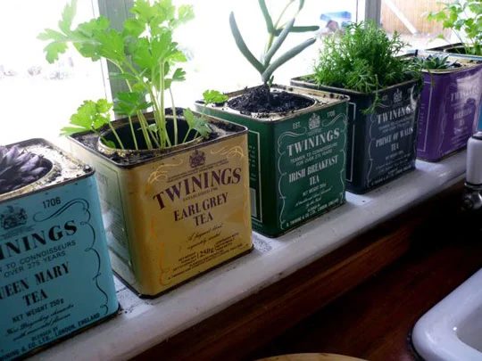 25 Fantastic Indoor Herb Garden options - Tipsaholic.com #herbs #garden