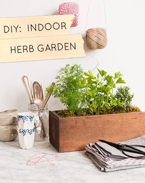 25 Fantastic Indoor Herb Garden options - Tipsaholic.com #herbs #garden