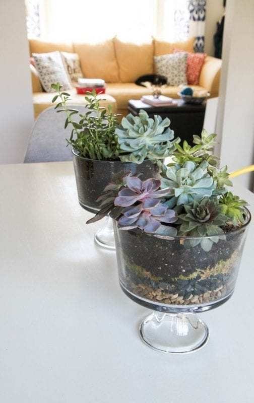 How To Make A Terrarium Filled With Succulents
