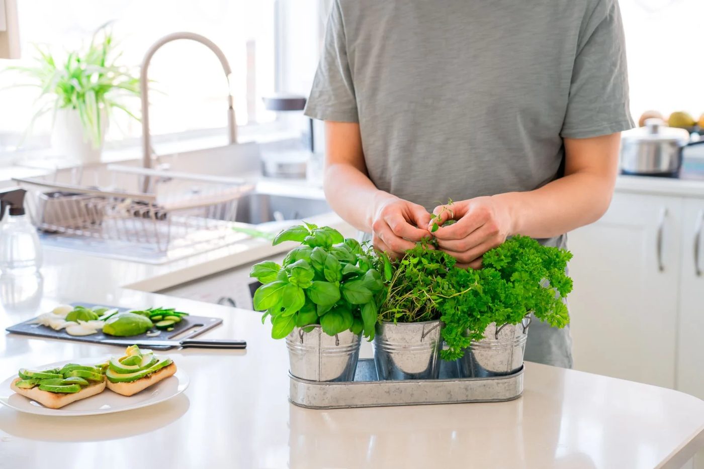 In House Herbs