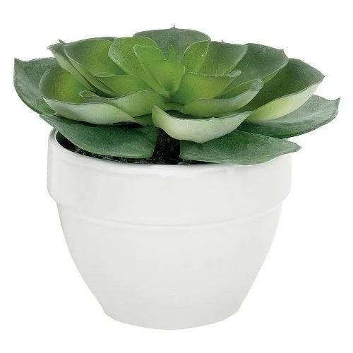 Farmhouse Homework Station 03 Succulent