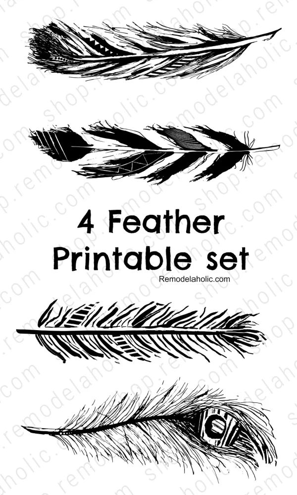Black Feather Art Printable Hand Drawn Farmhouse Decor, Bekob (1)