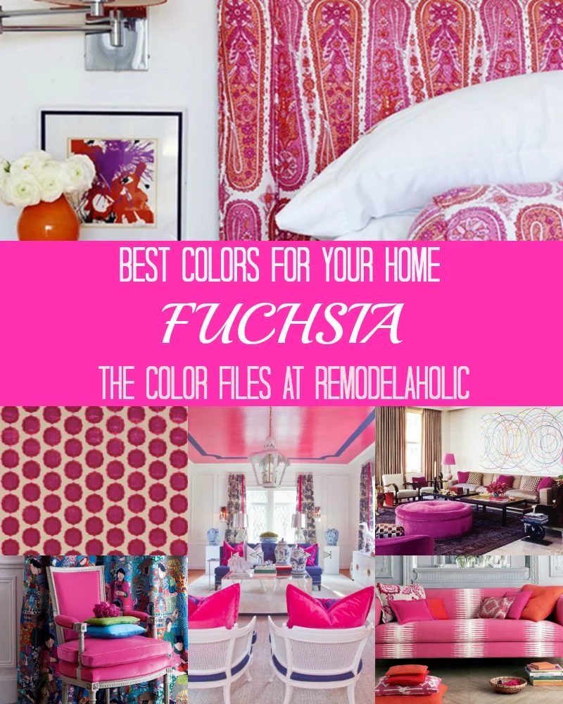 Fuschia collage
