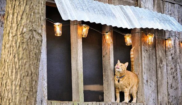 Mason Jar String Lights