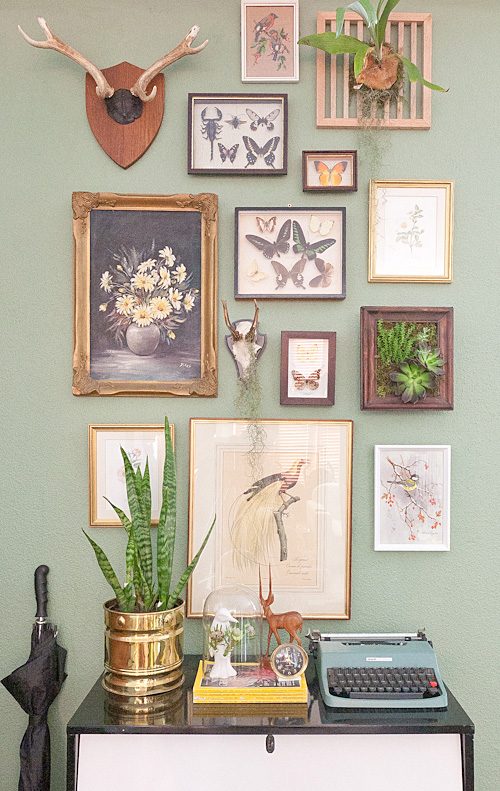 natural history gallery wall via curate this space