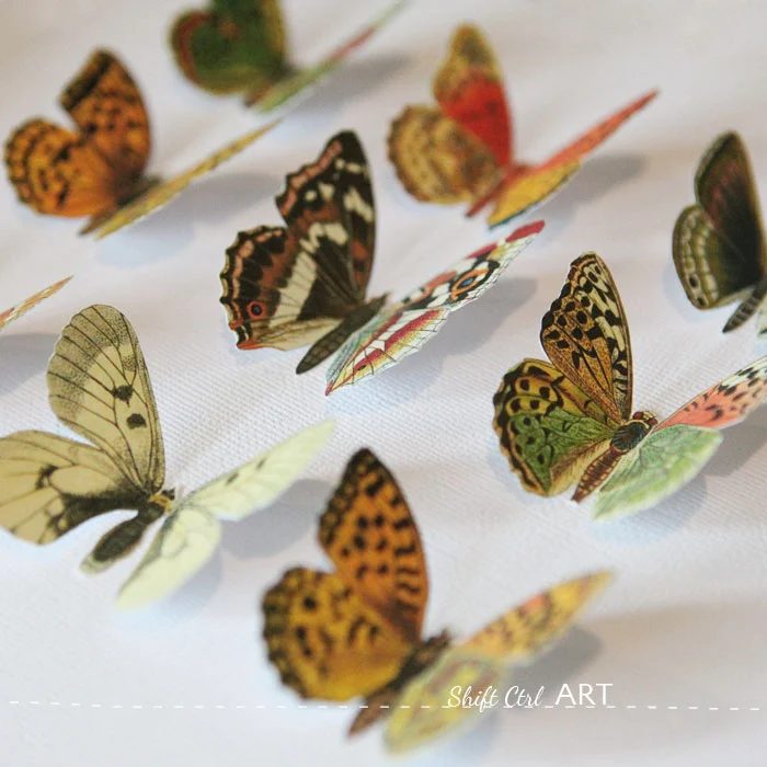 vegan butterfly art via shift ctrl art