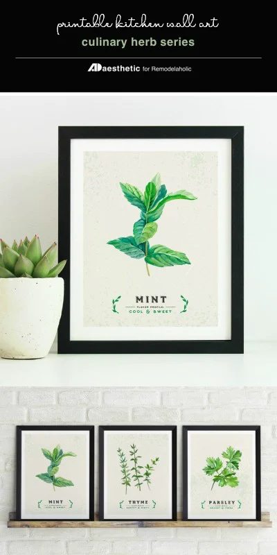 Printable Kitchen Wall Art, Instant Download PDF, Set Of 3 Culinary Herb Prints, AD Aesthetic For Bekob