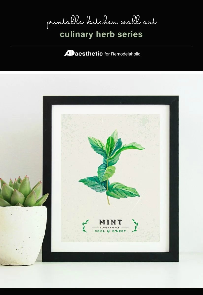 Instant Download PDF, Printable Kitchen Wall Art, Culinary Herb Print Set, AD Aesthetic For Bekob