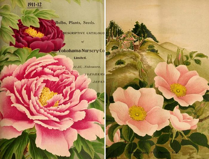 25+ Free Vintage Printable Floral Images | Bekob.com #art #vintage #printable
