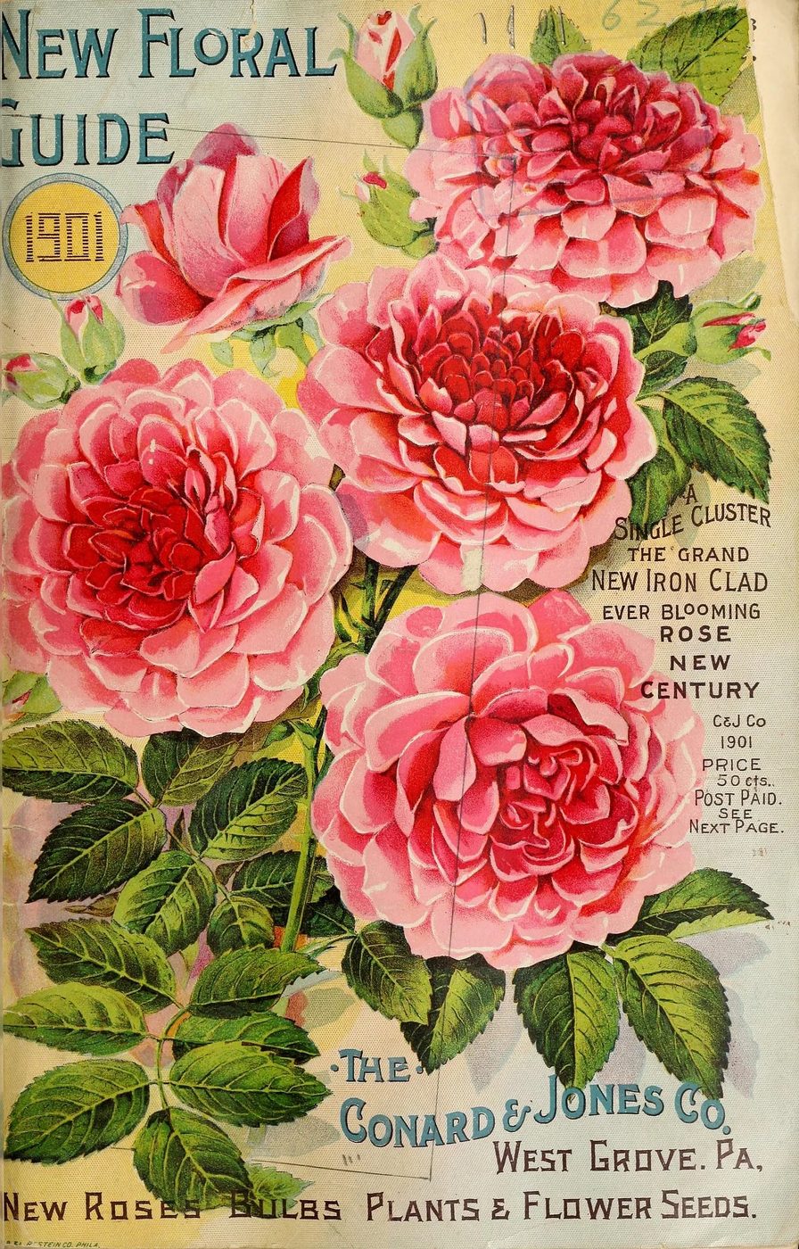 25+ Free Vintage Printable Floral Images | Bekob.com #art #vintage #printable