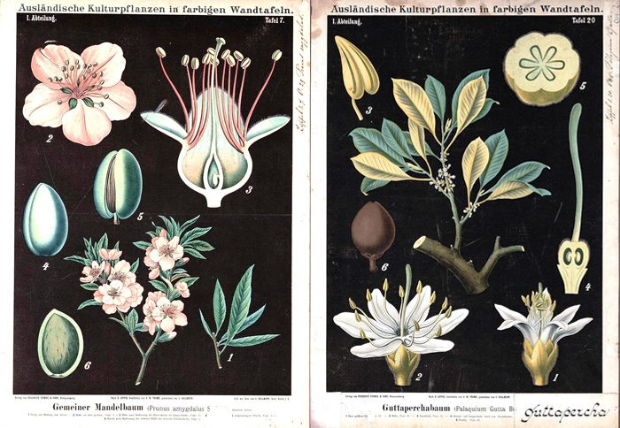 25+ Free Vintage Printable Floral Images | Bekob.com #art #vintage #printable