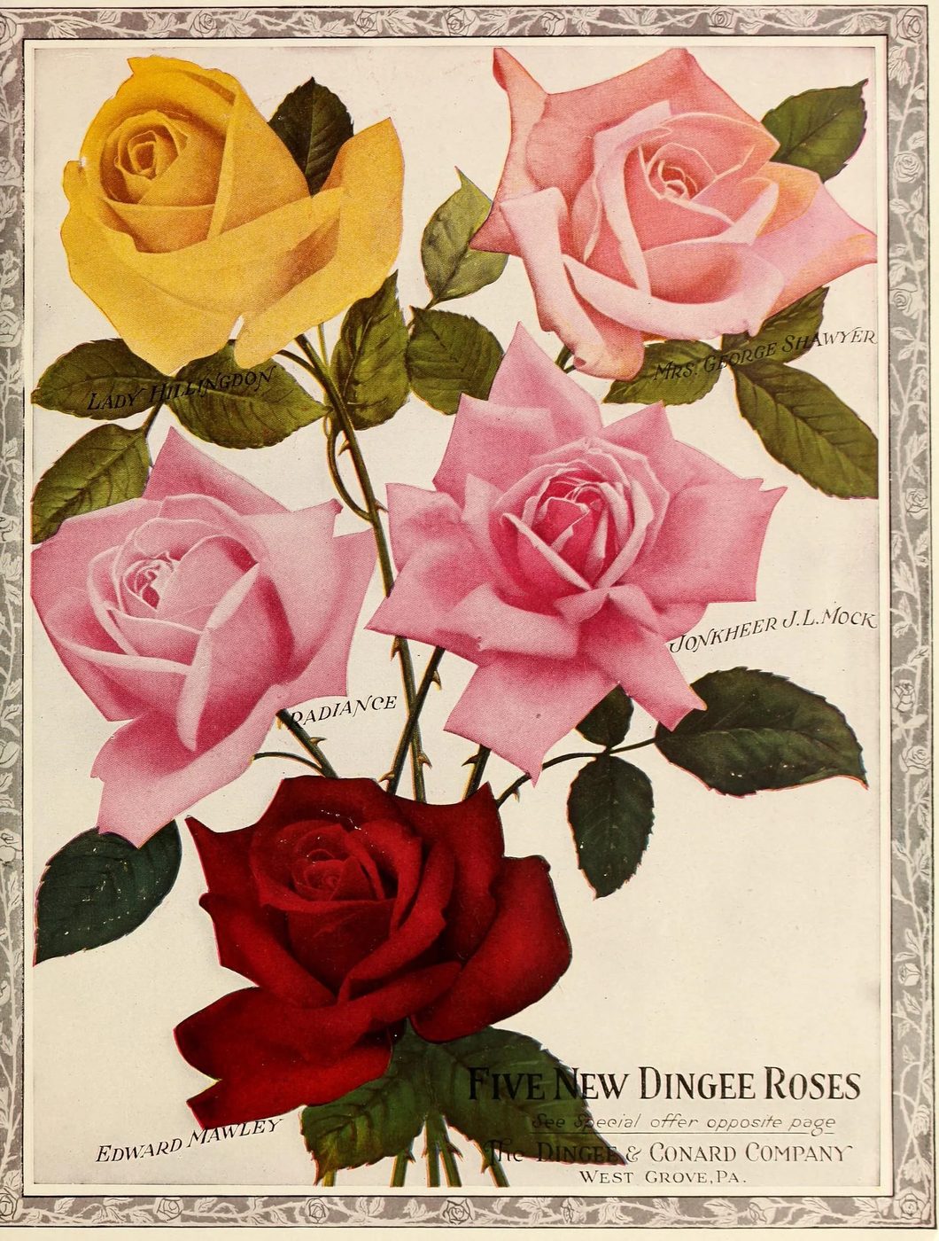 25+ Free Vintage Printable Floral Images | Bekob.com #art #vintage #printable