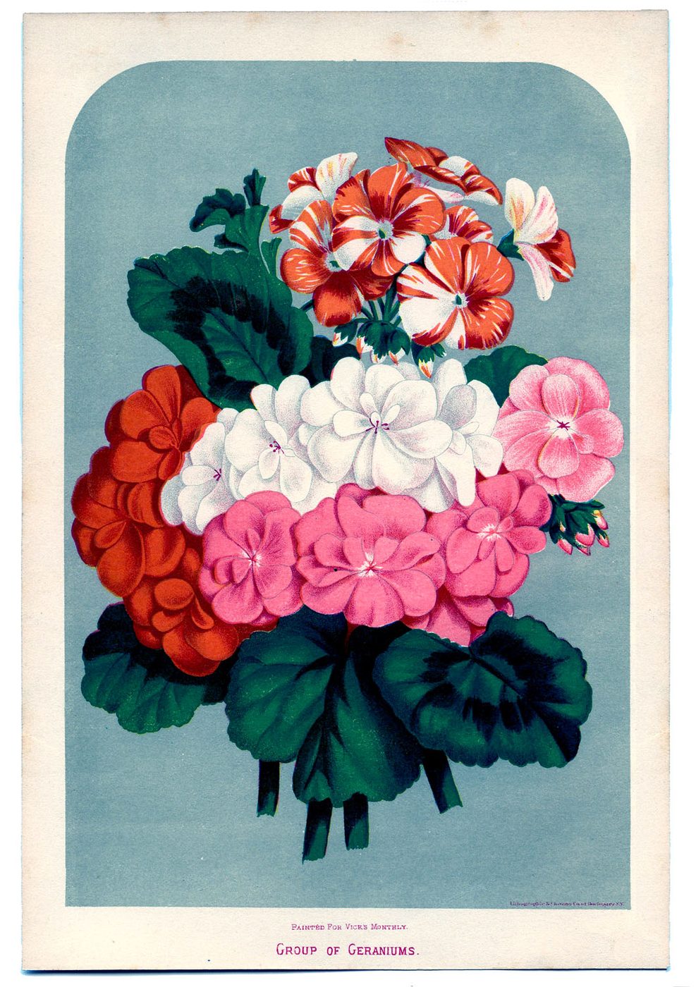 25+ Free Vintage Printable Floral Images | Bekob.com #art #vintage #printable