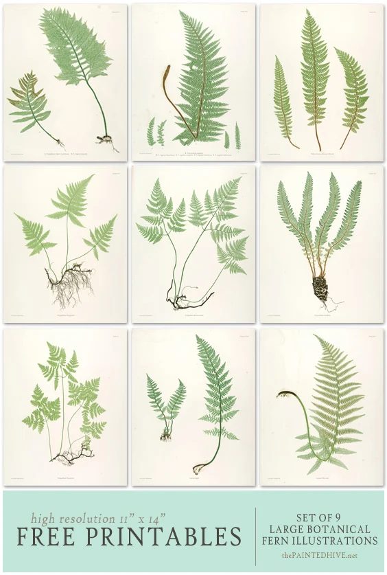 40+ Free Printables for Gallery Walls | Bekob.com #free #printables #art