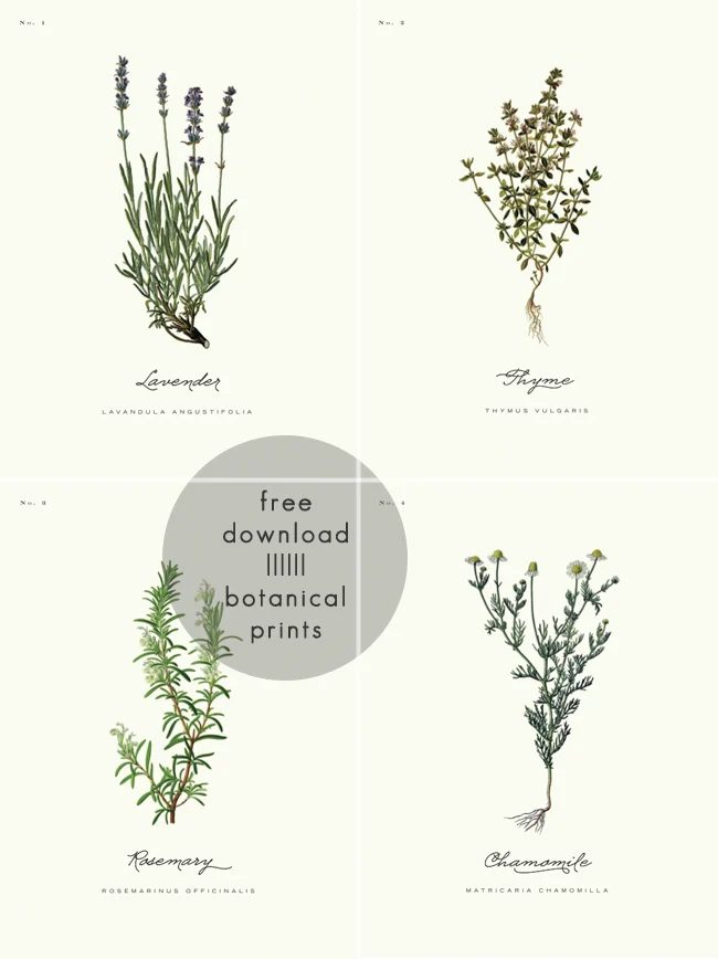 40+ Free Printables for Gallery Walls | Bekob.com #free #printables #art