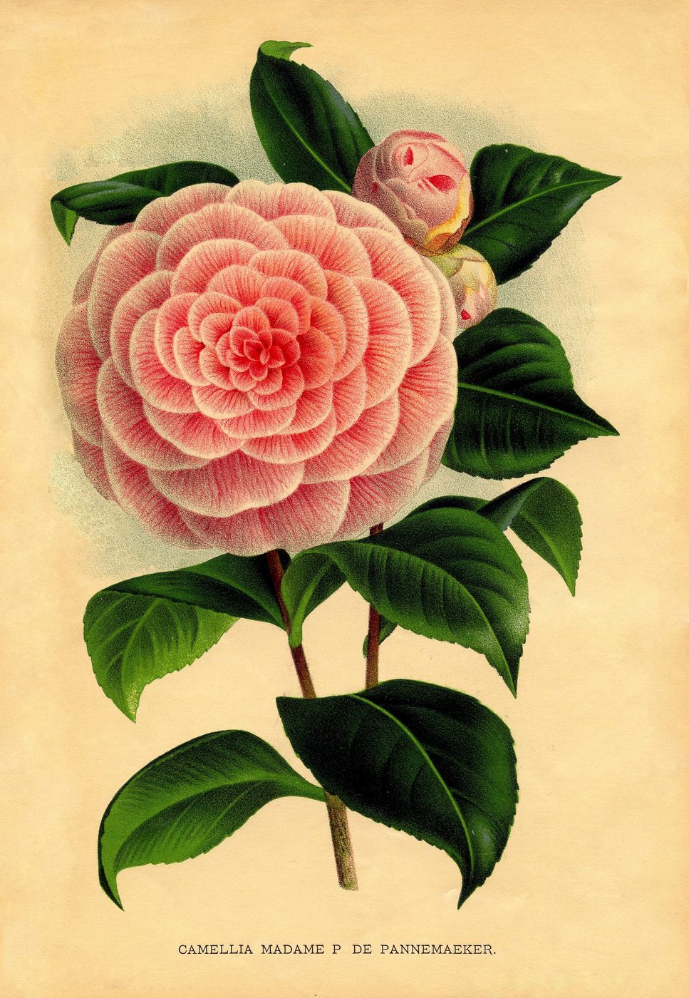 40+ Free Printables for Gallery Walls | Bekob.com #free #printables #art