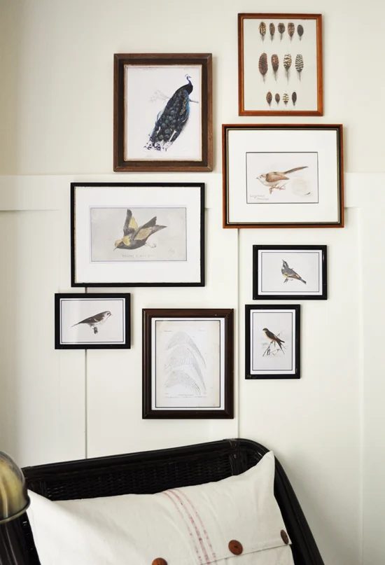 Over 25 Free Vintage Bird Printable Images | Bekob.com #art #free #printable