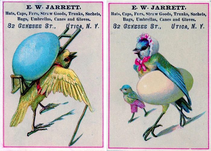 Over 25 Free Vintage Bird Printable Images | Bekob.com #art #free #printable