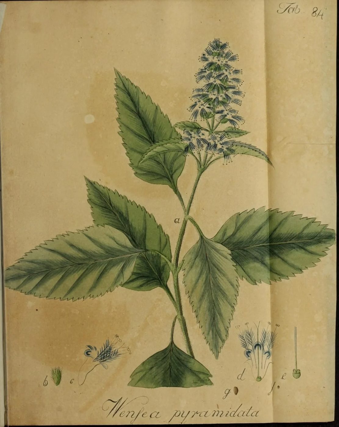 16