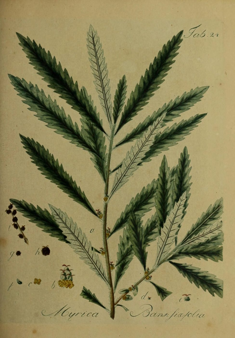20