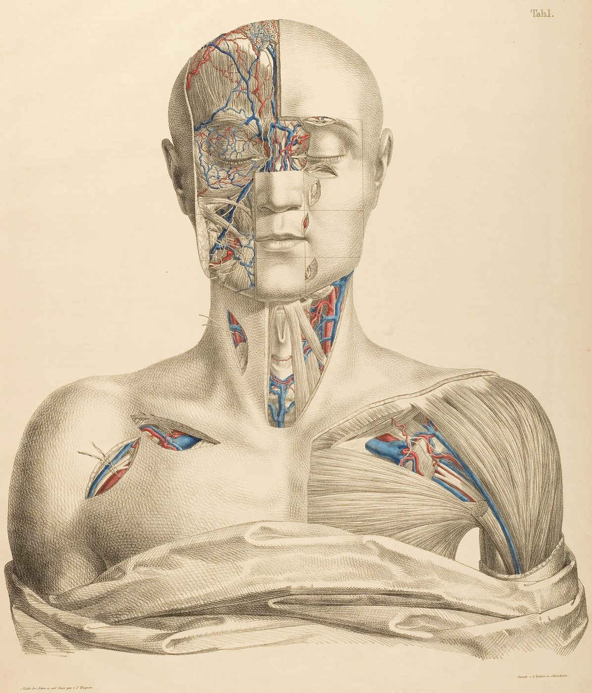 15 Free Vintage Medical Halloween Images | Bekob.com