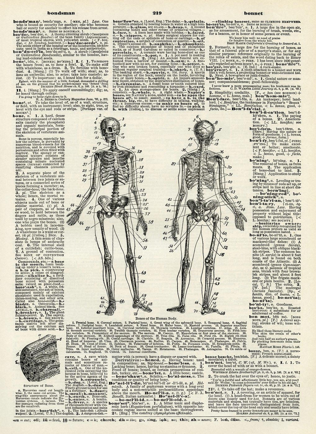 15 Free Vintage Medical Halloween Images | Bekob.com