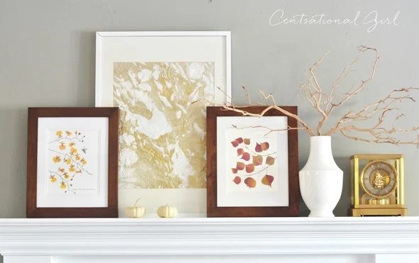 Decorating with Natural History Images for Fall
