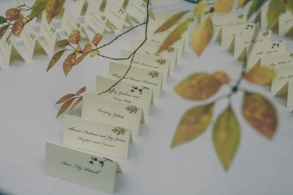 Decorating with Natural History images for Fall