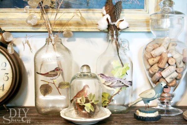 Decorating with Natural History Images for Fall
