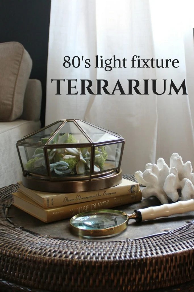 turn a light fixture into a terrarium, Honey N Hydrangea
