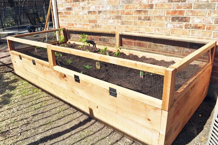 Raised Vegetable Garden, Stacy's Savings