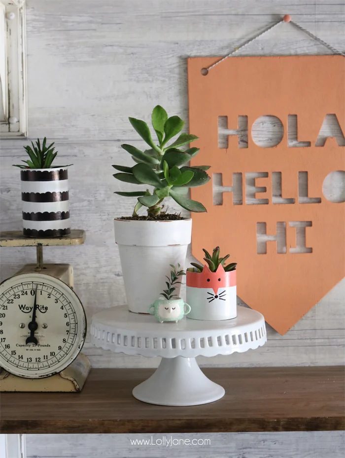Cereal Box Succulent Planter Fox walkthrough Handmade