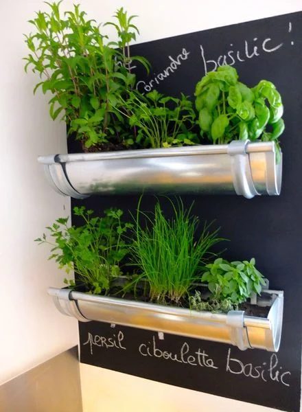 One of the classiest indoor herb gardens I've ever seen! Metal rain gutters on a chalkboard wall. direct but chic