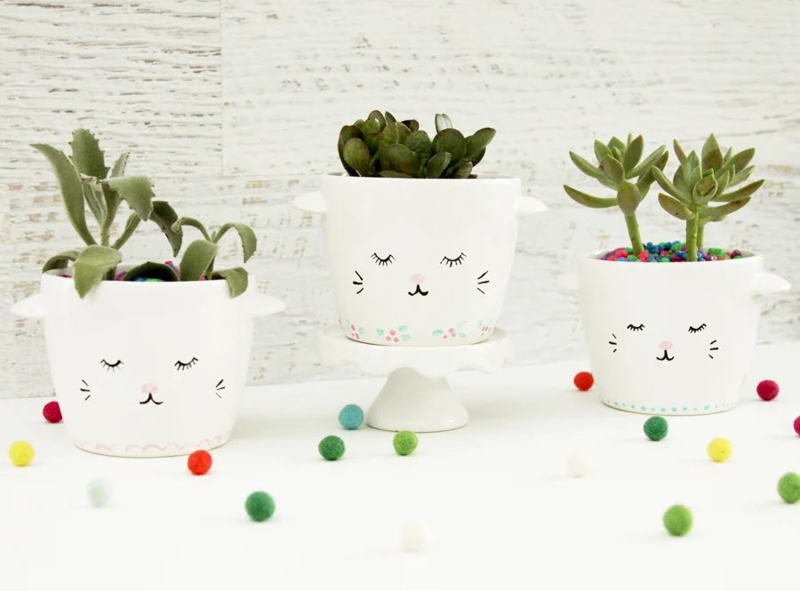 Sleepy Kitten Planters, Flamingo Toes