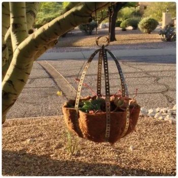 Hanging Orb Planter From Metal Hanger Strap, Dazzle While Frazzled