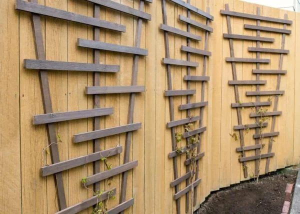 Diy Garden Trellis, The Handyman's Daughter