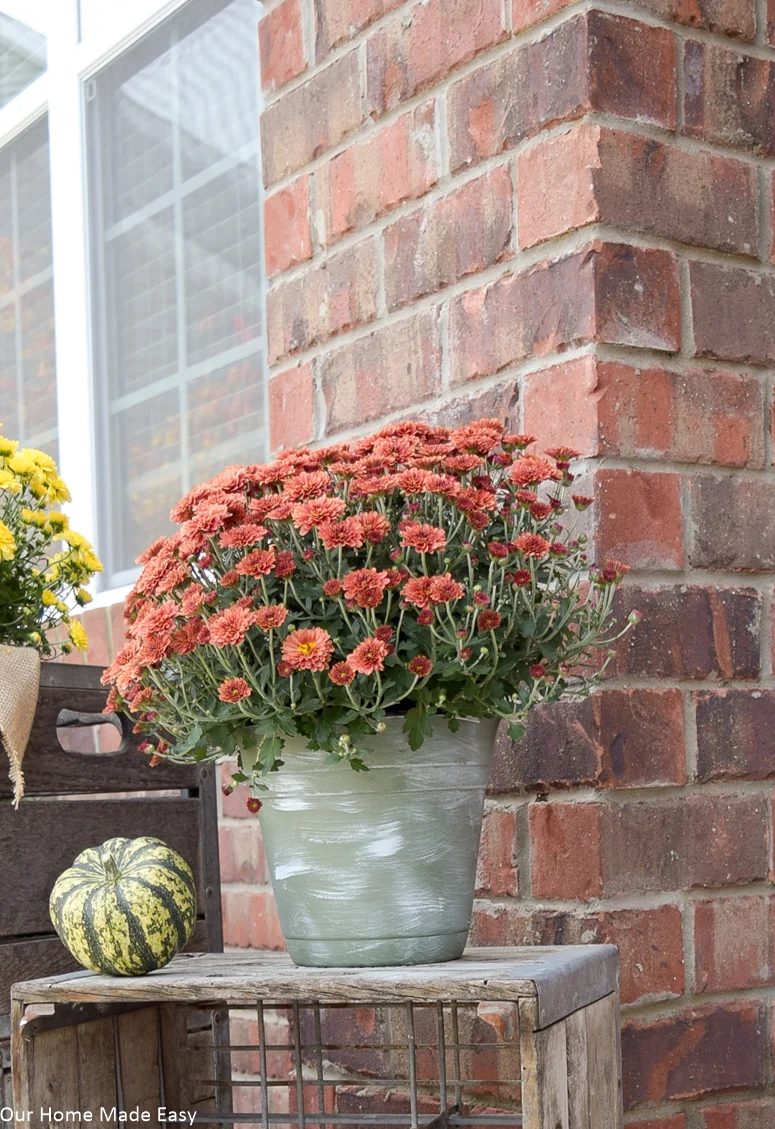 Front Porch 7