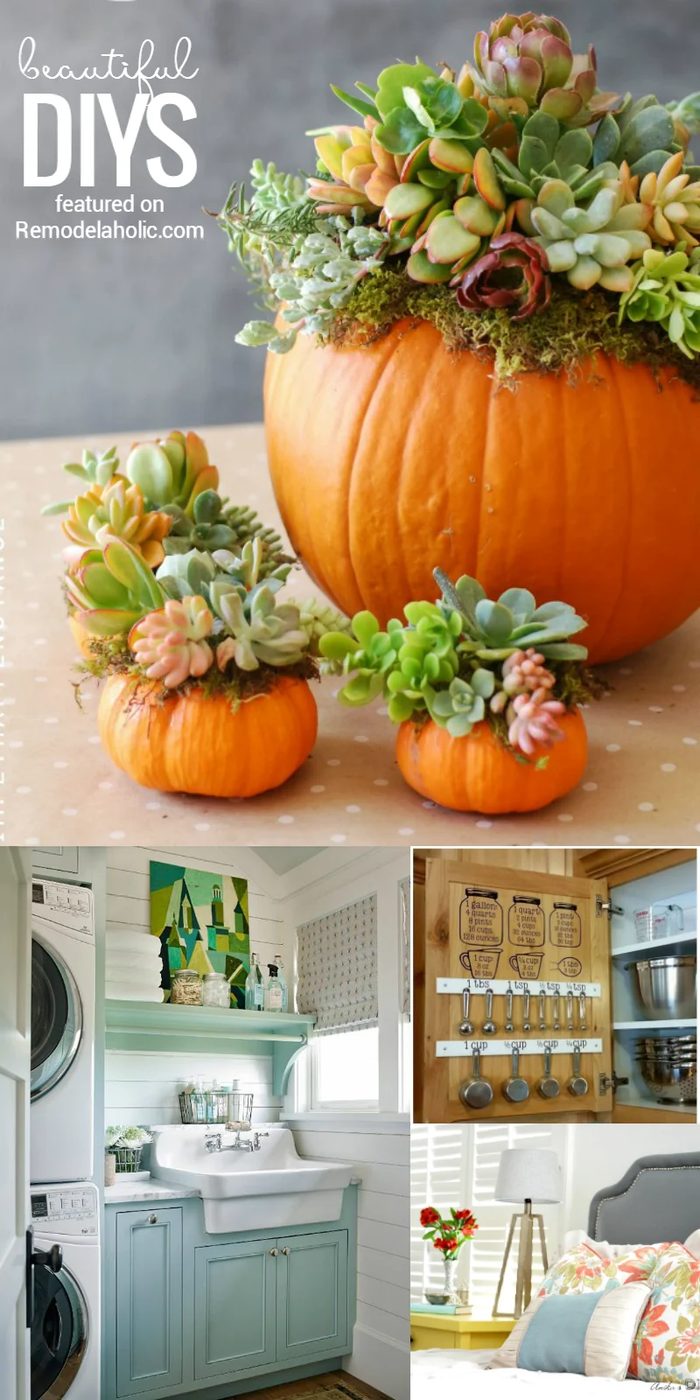 Friday Favorites: pumpkin succulents, striking laundry rooms, kitchen conversion charts, and more at Bekob.com