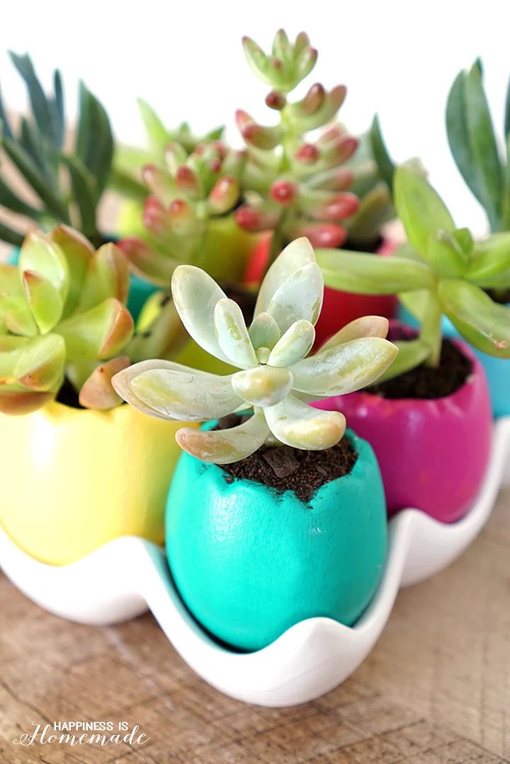 Easter egg succulent planters Happiness is Homemade